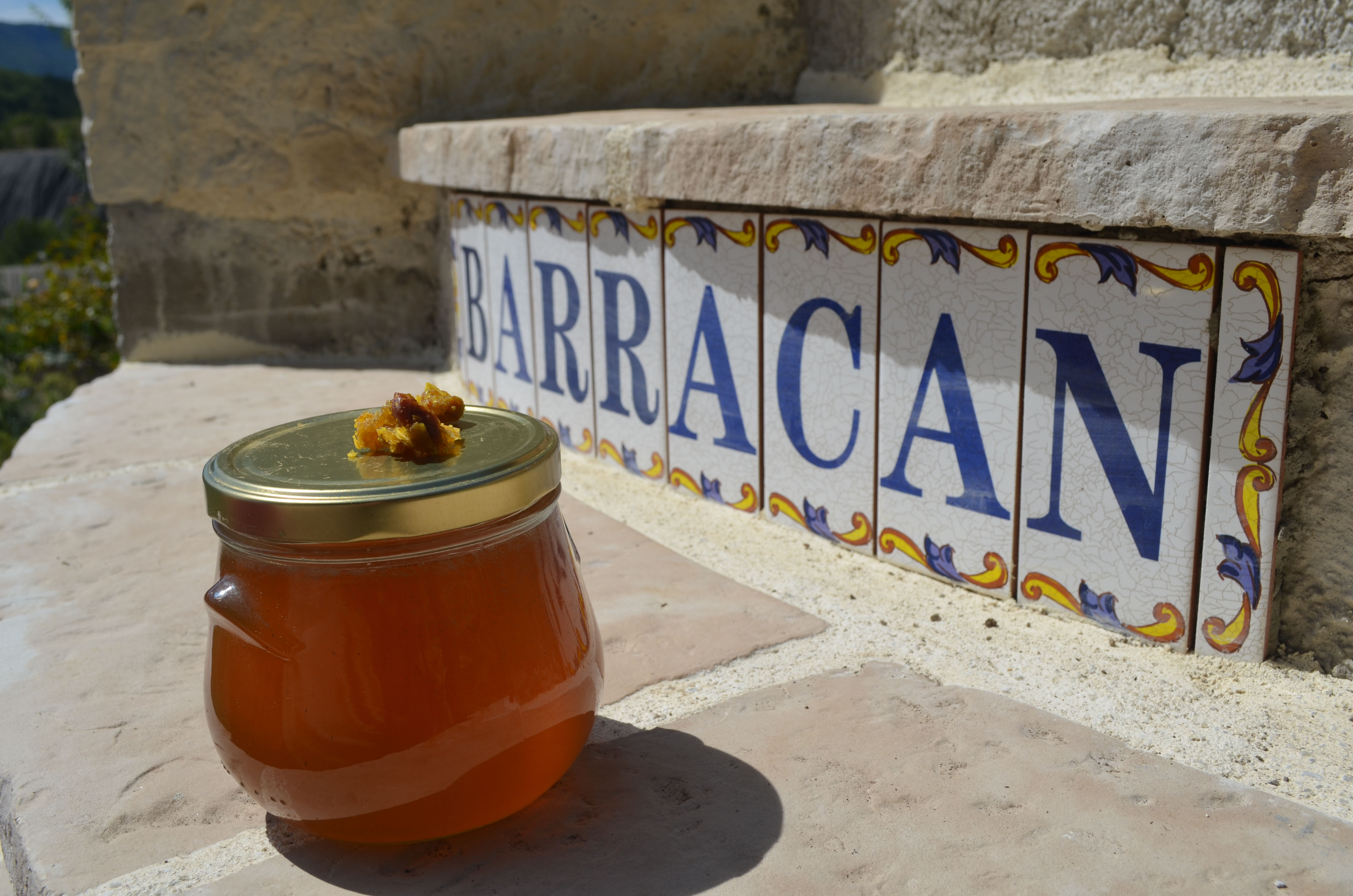 Miel Bio de fleurs sauvages