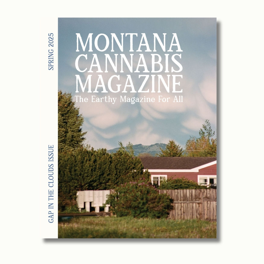 The Gap in the Clouds Issue - Spring 2025