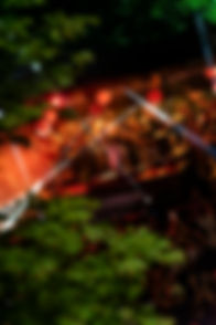 _DSC8652-ARW_DxO_DeepPRIMEXD.jpg