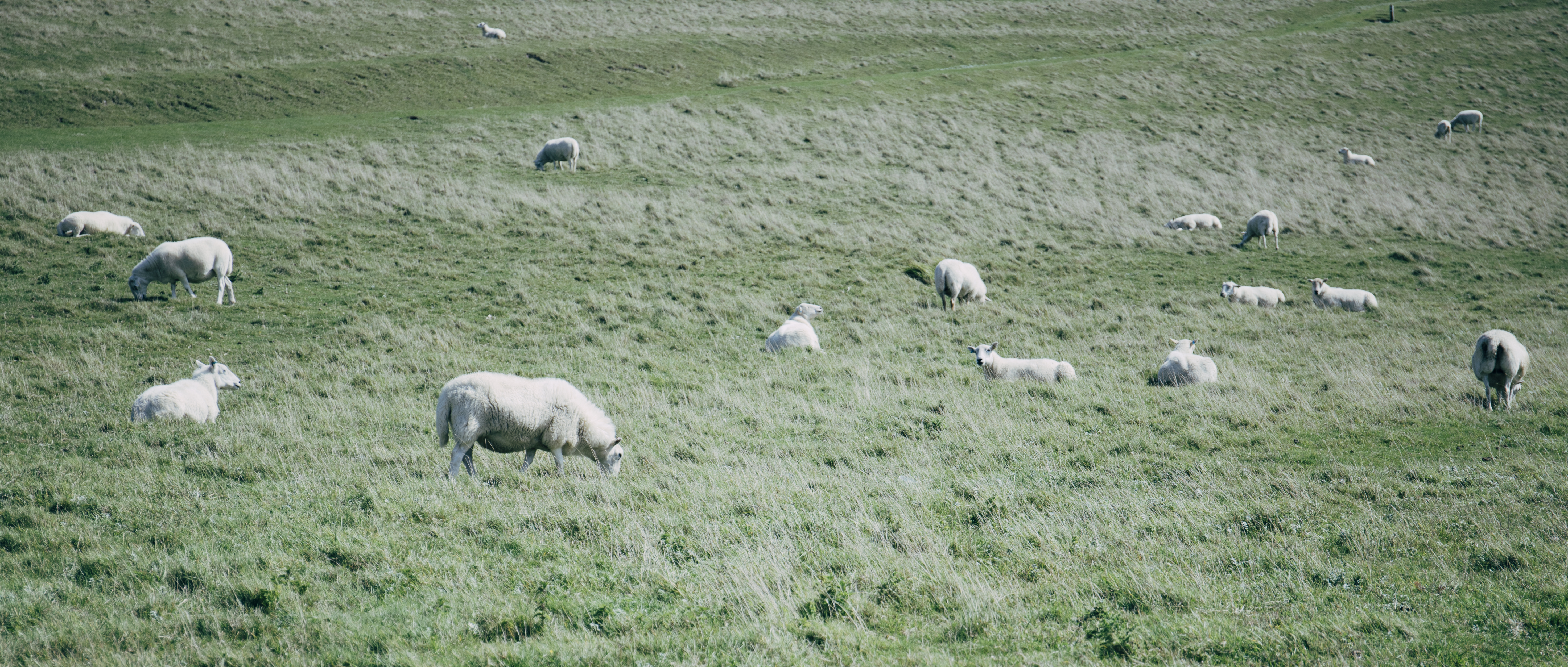 Seven sisters