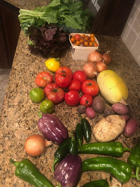 Vegetables_Farm.jpg