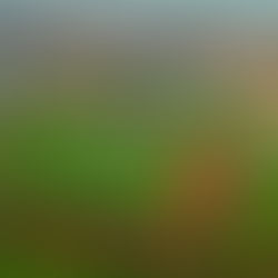 "Unis vers la Terre", mais désunis sur le terrain!