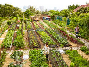 Tribune des élus "Ensemble pour Deuil-La Barre" - Journal Municipal mars/avril 2024