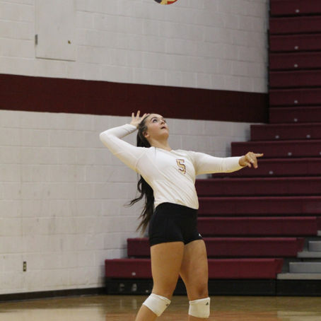 Blue Demons Defeat Cougar Volleyball