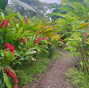 My Costa Rica Trip and Guide to the Guanacaste Region