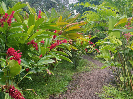My Costa Rica Trip and Guide to the Guanacaste Region