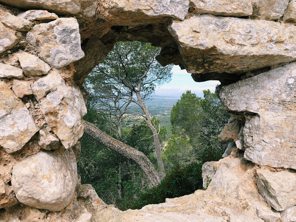 window