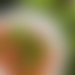 Pine Nut Kale Pesto Pasta