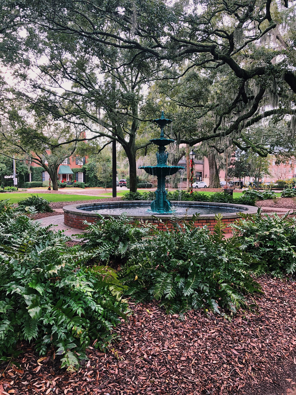 Savannah