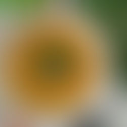 Smoky Chipotle Squash Soup