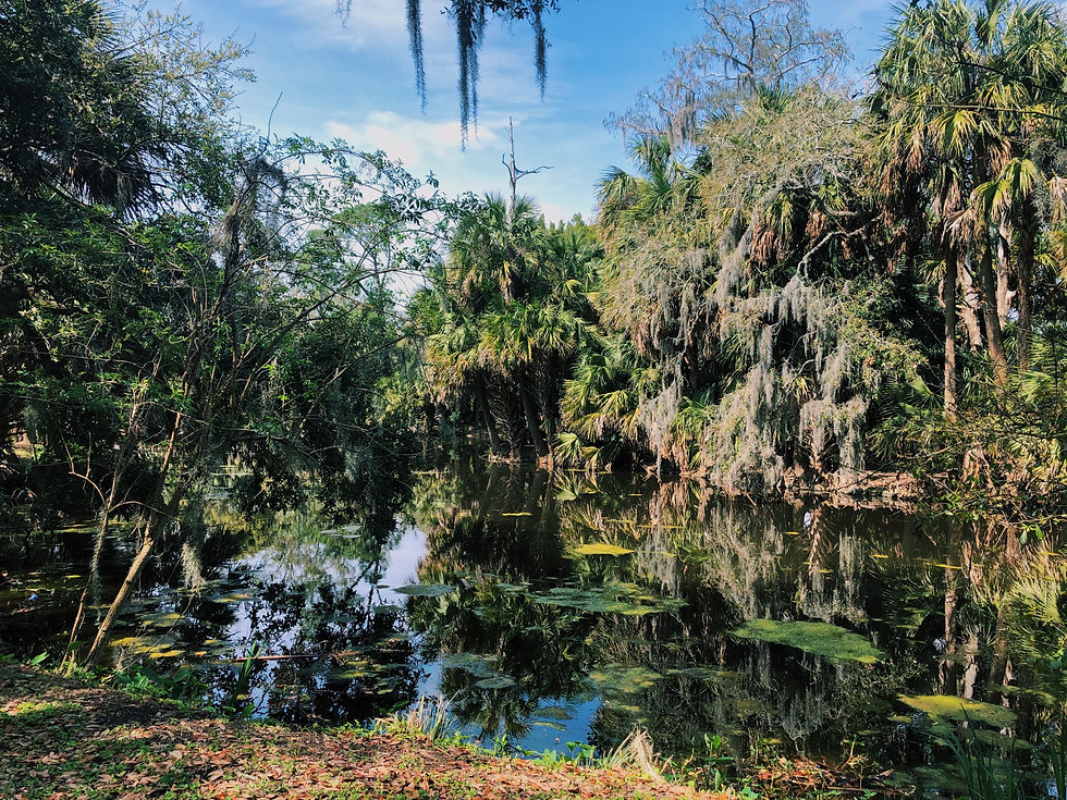 nola