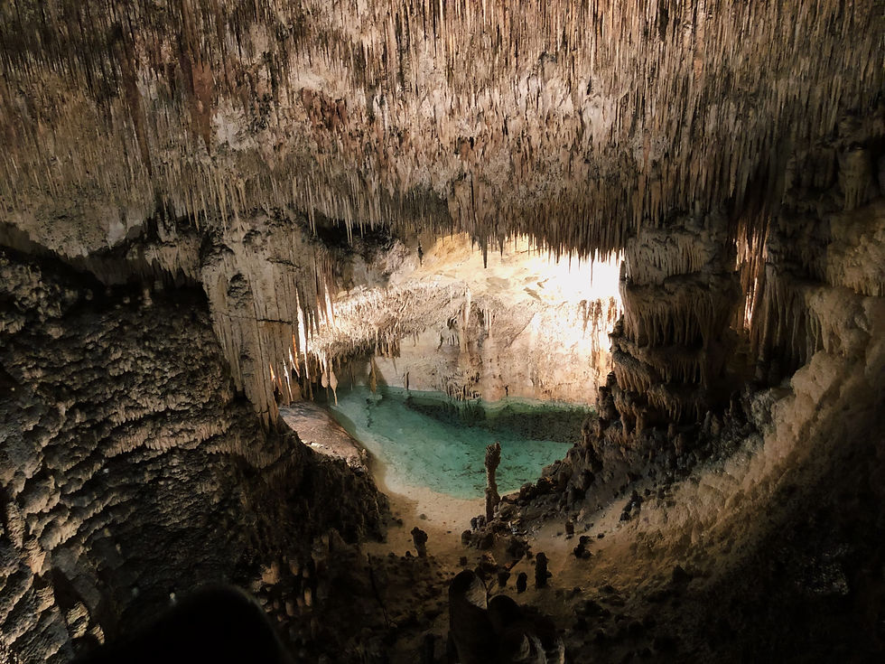 caves del drac