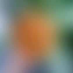 Kimchi Fried Cauliflower Rice