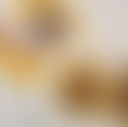 Korean Vegan Steak Tacos