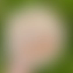 The Ultimate Guide to Overnight Oats - 12 Different Recipes