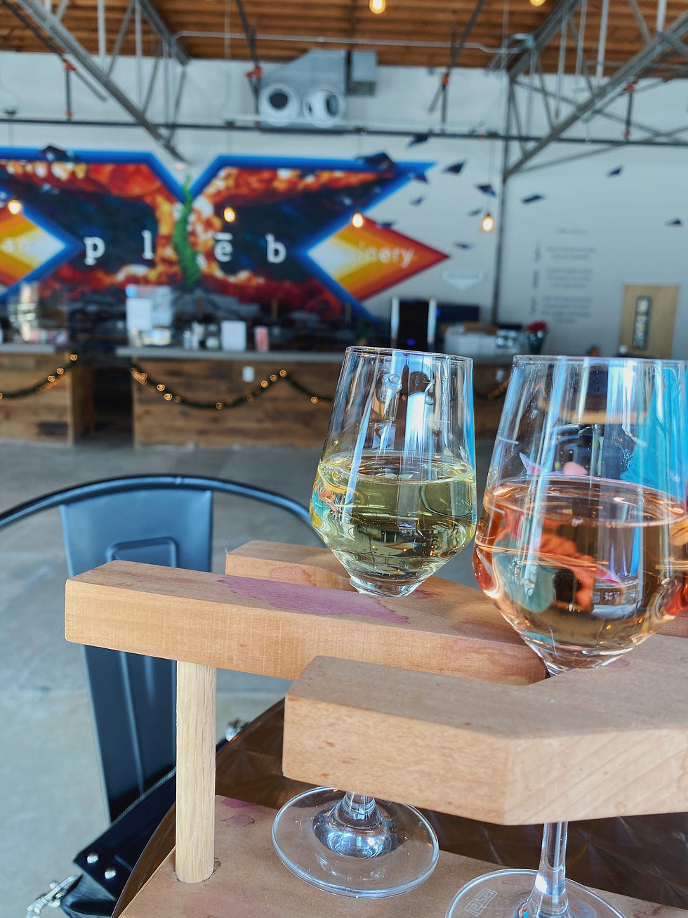 Pleb Urban Winery Asheville