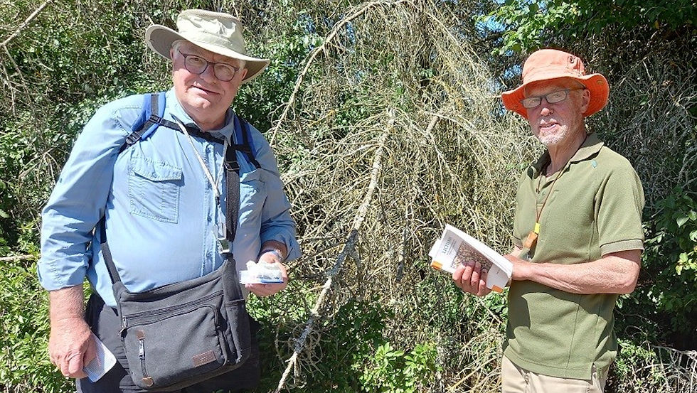 TGC visit to Petersfield for Lichen Guided walk