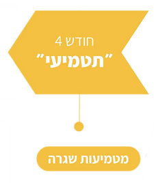 עותק של תזרימי - לוגו+תרשים זרימה.png