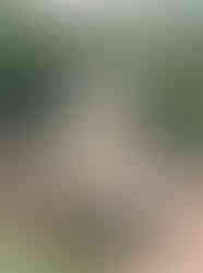 wedding reception tables with peach, orange, and yellow flowers