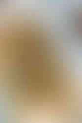 food for a corporate event provided by the wayback cafe