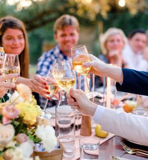 wedding guests toasting during a wedding reception at the wayback in austin texas