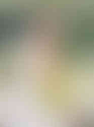 bride with her yellow and orange bridal bouquet at the wayback