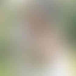 bride and groom portraits at the romantic wedding venue The Wayback