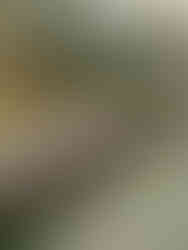 Fall wedding reception at The Wayback in Austin Texas