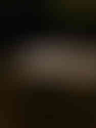 outdoor wedding reception at The Wayback