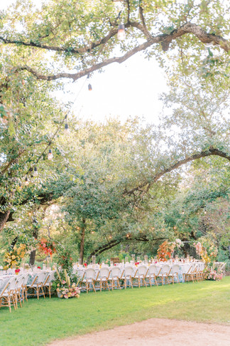 A long wedding reception table set up for a garden wedding at the wayback