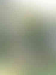 Fall wedding ideas at The Wayback in Austin Texas