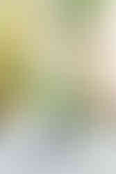 close up of a simple flower arrangement for an event at the wayback