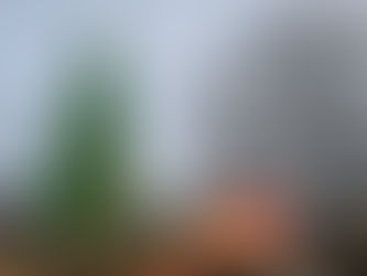 Коледни базари в Дортмунд и Мюнстер за един ден със самолет