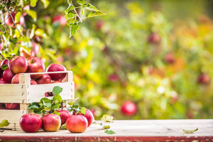 istockphoto-1049438358-612x612.jpg