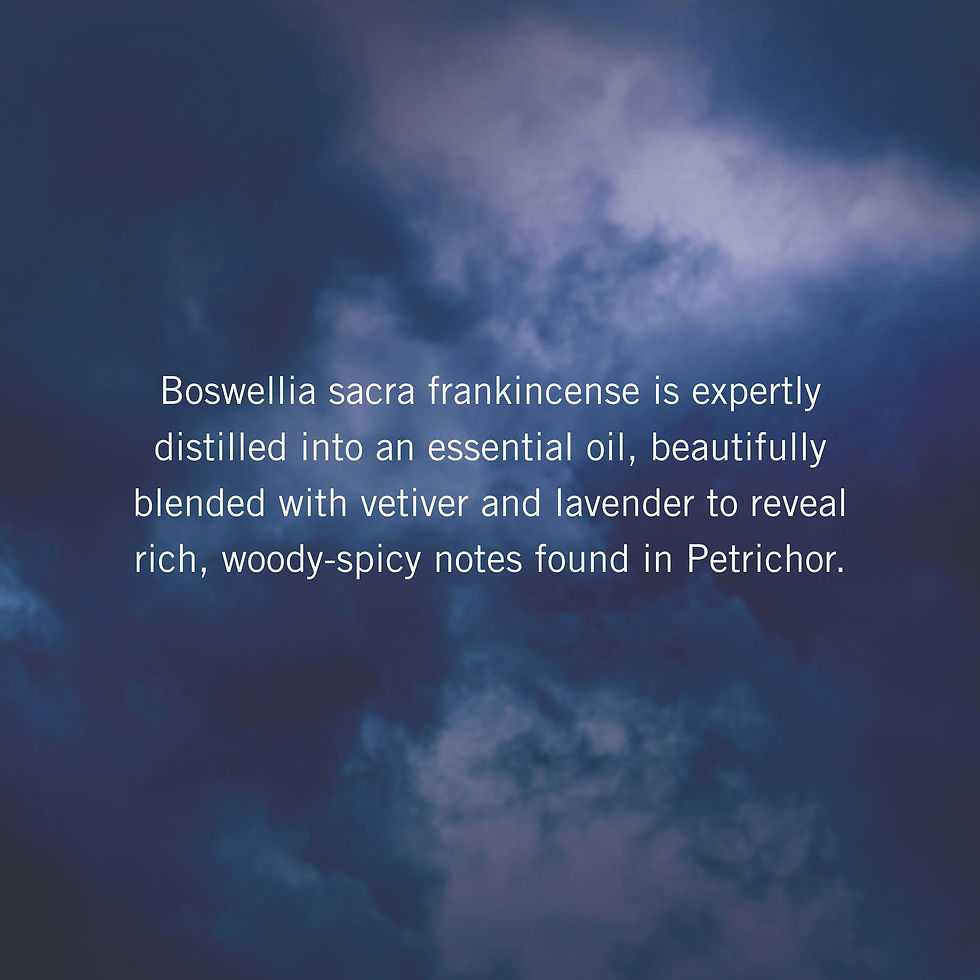 Thumbnail: Neal's Yard Remedies Petrichor Eau de Parfum 50ml