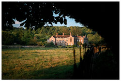 Through the Canopy to the Manor
