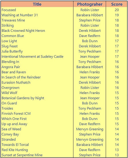 Adv OPEN dpi results.jpg