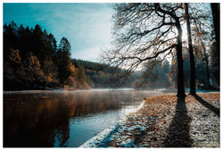 Frost and Shadows by the Water