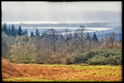 View From May Hill To Estuary