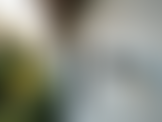 Affordable Security Without Compromise: Budget Home Security Options