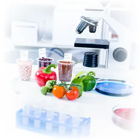 Best Thesis & Paper Writing Service in Food Sciences in India