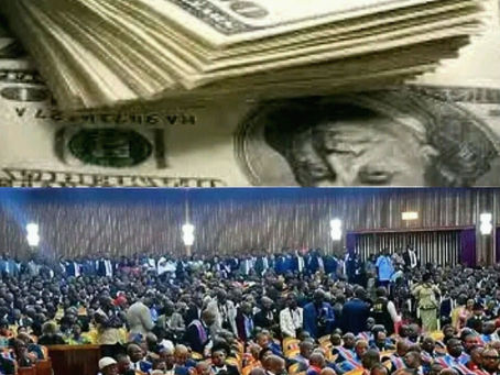 $21,000 a month at the National Assembly: A passion for 20,000 legislative candidates