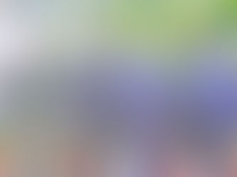 Etat de Siege en Ituri : Une délégation l'ANAPI a échangé avec le gouverneur militaire