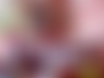 Kasaï : sans tableau, ni banc, moins encore un bâtiment, voici les conditions d'une école à Tshikapa