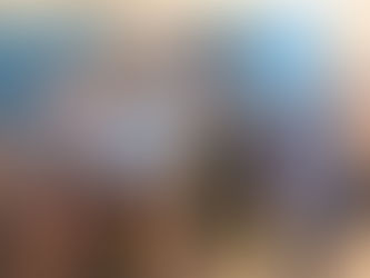 *Nord-Kivu: Malgré l'État de siège, le bureau d'âge de l'Assemblée provinciale est investi