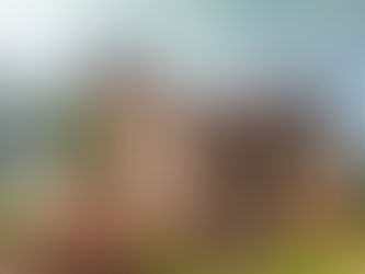 Kasaï : Malgré les bruits des leaders politiques de Luebo, le bureau de l'office du bureau éducation