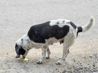 Vomiting. When to worry !!