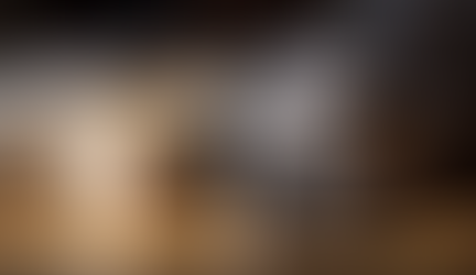 How to Build an Annual Health Plan for Your Pet