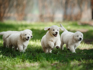 Suddenly it's Spring!