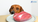 Common Food Allergies in Pets and Why Dietary Trials Matter